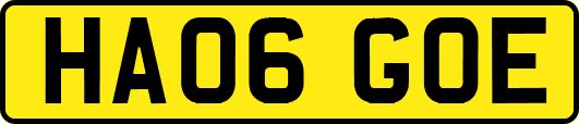 HA06GOE