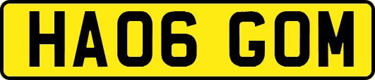 HA06GOM