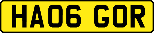 HA06GOR