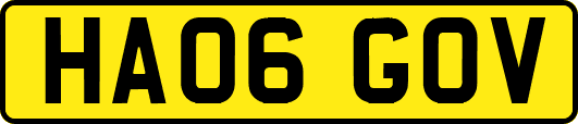 HA06GOV