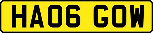 HA06GOW