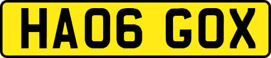 HA06GOX