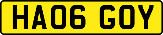 HA06GOY