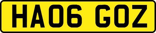 HA06GOZ