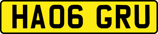 HA06GRU