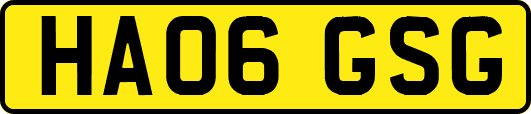 HA06GSG