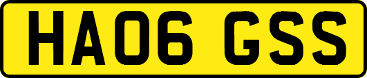 HA06GSS
