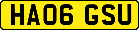 HA06GSU