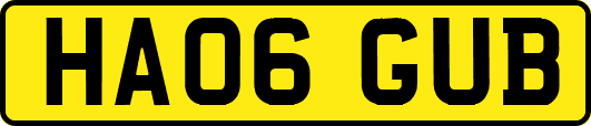 HA06GUB