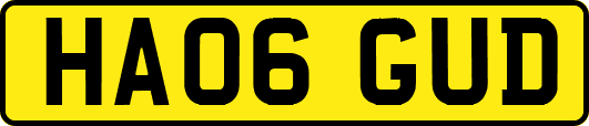HA06GUD