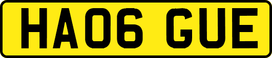 HA06GUE