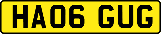 HA06GUG