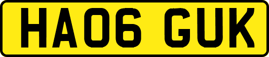 HA06GUK