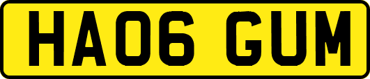 HA06GUM