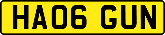 HA06GUN