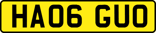 HA06GUO