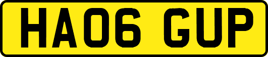 HA06GUP