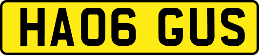 HA06GUS