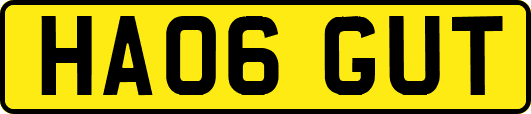 HA06GUT