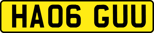 HA06GUU