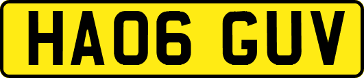 HA06GUV