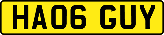 HA06GUY