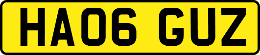 HA06GUZ