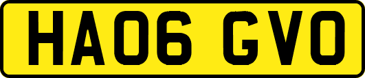 HA06GVO