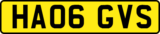 HA06GVS