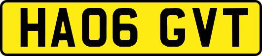 HA06GVT