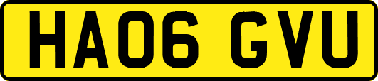 HA06GVU