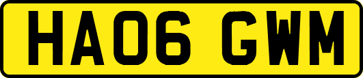 HA06GWM