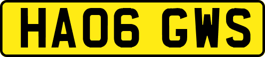 HA06GWS