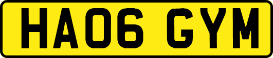 HA06GYM