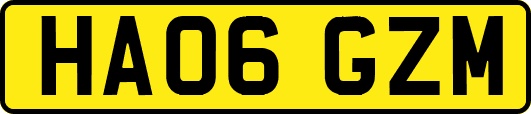 HA06GZM