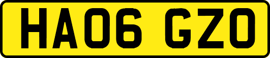 HA06GZO