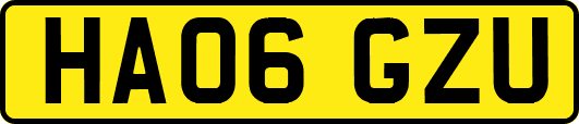 HA06GZU