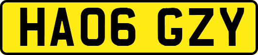 HA06GZY