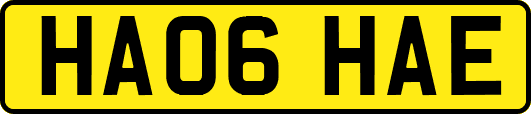 HA06HAE
