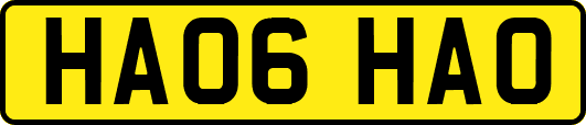 HA06HAO