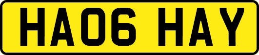HA06HAY