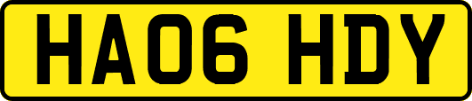 HA06HDY