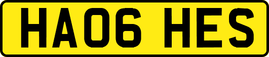 HA06HES