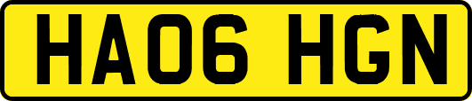 HA06HGN