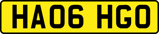 HA06HGO