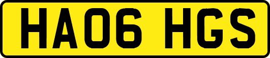 HA06HGS