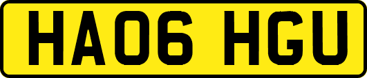 HA06HGU