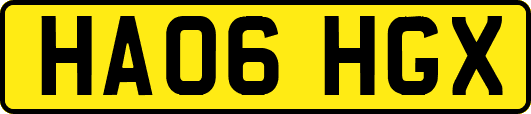 HA06HGX