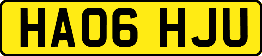 HA06HJU