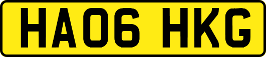 HA06HKG